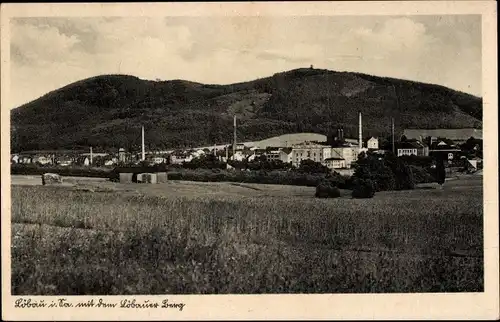 Ak Löbau in Sachsen, Panorama mit Löbauer Berg, Fabrikanlagen