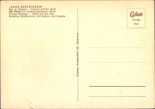 Ak Titisee Neustadt im Breisgau Hochschwarzwald, Haus Seefrieden, Panorama