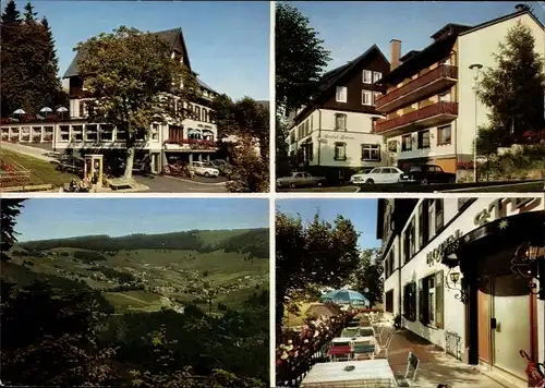 Ak Todtnauberg Todtnau im Schwarzwald, Hotel zum Sternen, Panorama