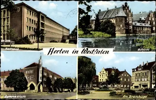 Ak Herten im Ruhrgebiet Westfalen, Gymnasium, Rathaus, Schloss, Am Bramhügel