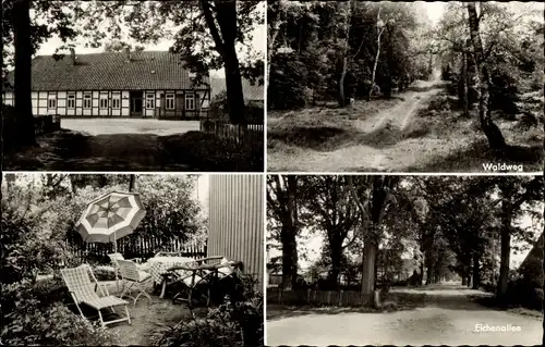 Ak Hagen Sprakensehl Niedersachsen, Pension Meyer, Am Naturpark Südheide, Waldweg, Eichenallee