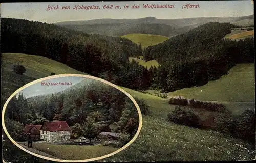 Ak Hohegeiß Braunlage im Oberharz, Blick in das Wolfsbachtal, Wolfsbachmühle