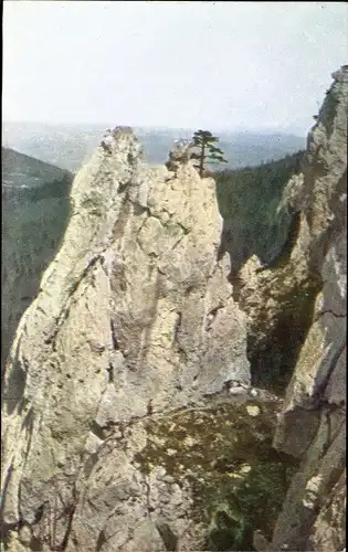 Ak Niederösterreich, Partie am Peilstein, Blick auf den Felssporn