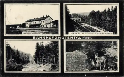 Ak Zwotental Gunzen Schöneck im Vogtland, Bahnhof, Bahnlinie Schöneck Zwotental, Würschnitzthal