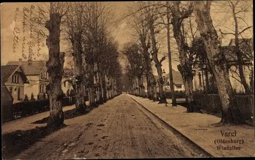 Ak Varel in Oldenburg Jadebusen, Windallee