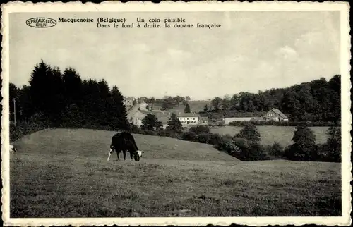 Ak Macquenoise Wallonien Hennegau, Un coin paisible, Dans le fond a droite, la douane francaise, Kuh