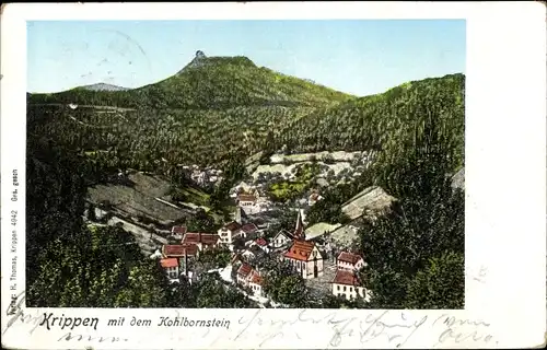 Ak Krippen Bad Schandau Sächsische Schweiz, Panorama mit Kohlbornstein