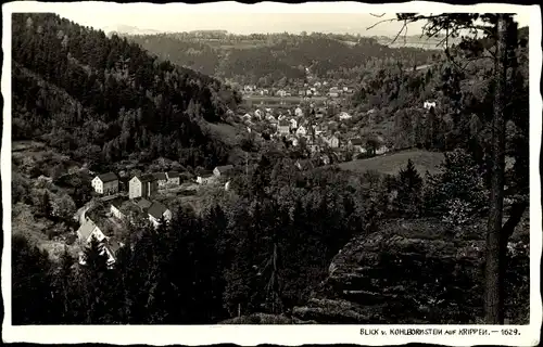 Ak Krippen Bad Schandau Sächsische Schweiz, Blick v. Kohlbornstein