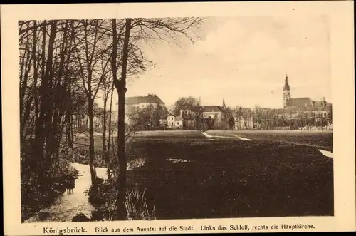 Ak Königsbrück in der Oberlausitz, Stadt vom Auental gesehen, Schloss, Hauptkirche