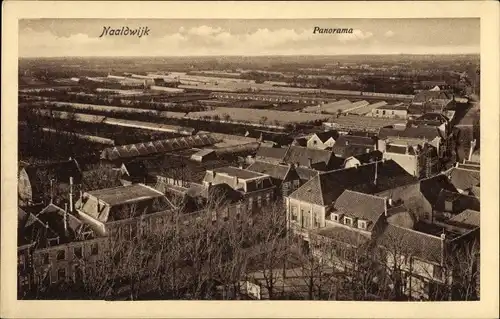 Ak Naaldwijk Südholland, Panorama