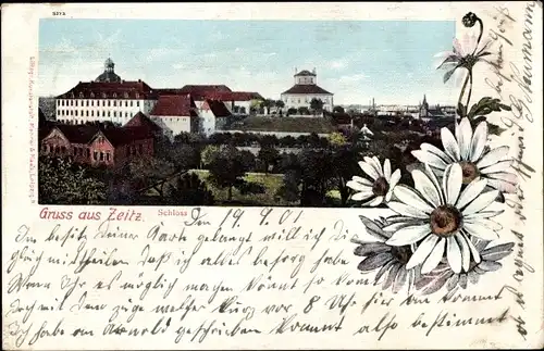 Ak Zeitz in Sachsen Anhalt, Blick über die Dächer der Stadt