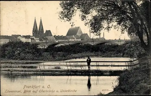 Ak Frankfurt an der Oder, Löweninsel, Oderbrücke, Unterkirche