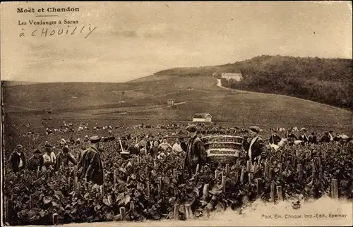 Ak Saran Chouilly Marne, Moet et Chandon, les Vendanges