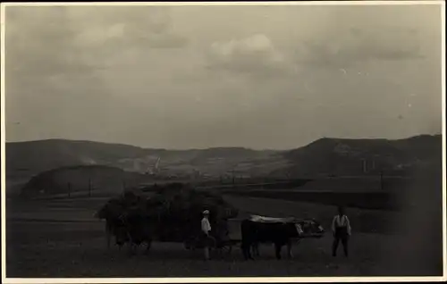 Foto Ak Bauern ernten Heu, Fuhrwerk, Rind, Landwirtschaft