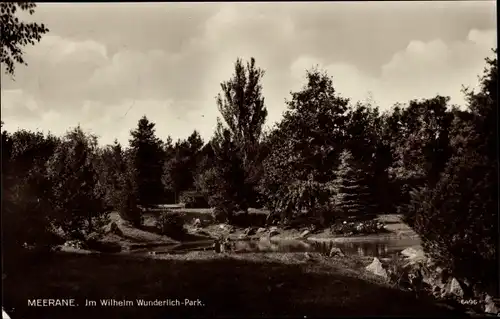 Ak Meerane in Sachsen, Im Wilhelm-Wunderlich-Park, Teich