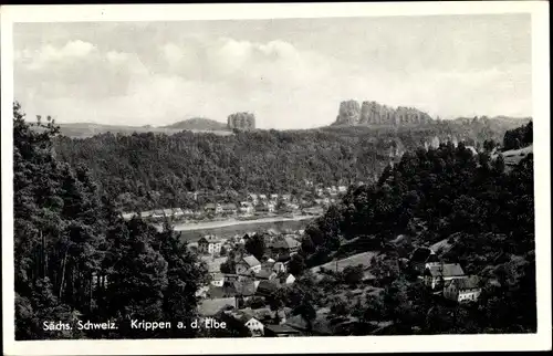 Ak Krippen Bad Schandau Sächsische Schweiz, Panorama vom Ort