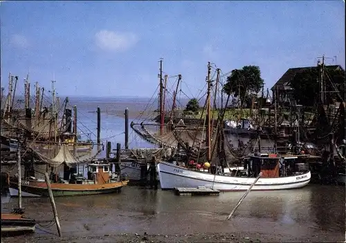 Ak Fedderwardersiel Butjadingen Wesermarsch, Hafen, Fischerboote