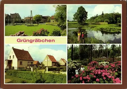 Ak Grüngräbchen Schwepnitz in der Lausitz, Teichlandschaft, Eigenheimsiedlung, Gärtnerei Seidel