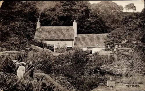 Ak Newcastle upon Tyne England, Jesmond Dene