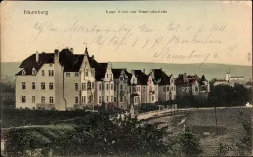 Ak Naumburg an der Saale, Neue Villen der Buchholzstraße