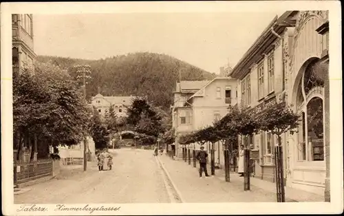 Ak Tabarz im Thüringer Wald, Zimmerbergstraße