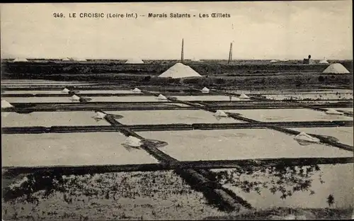 Ak Le Croisic Loire Atlantique, Marais Salants