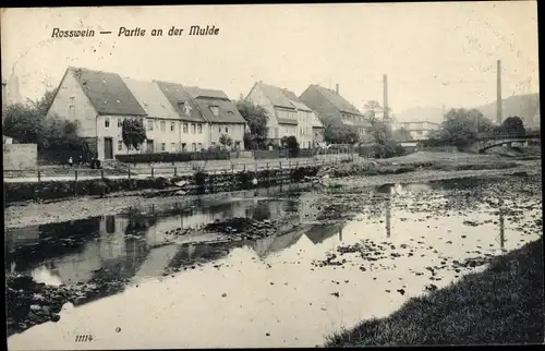 Ak Roßwein in Sachsen, an der Mulde