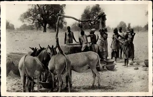 Ak Dakar Senegal, Au puits prèa de Dakar, Esel