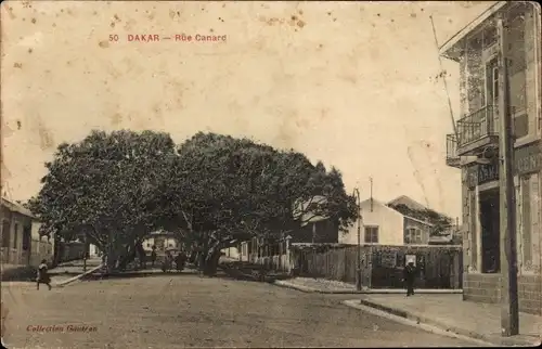 Ak Dakar Senegal, Rue Canard