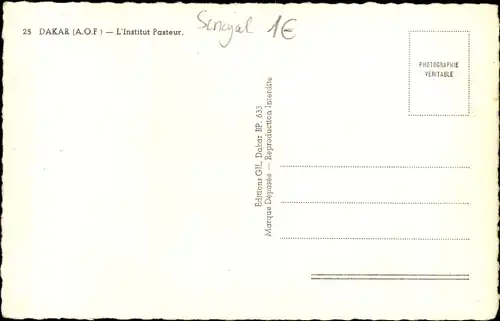 Ak Dakar Senegal, Institut Pasteur