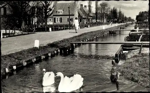 Ak Aalsmeer Nordholland Niederlande, Uiterweg