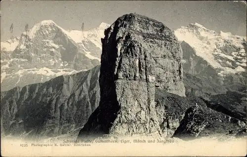 Ak Berner Oberland Kanton Bern Schweiz, Schynige Platte, Gummihorn, Eiger, Mönch und Jungfrau