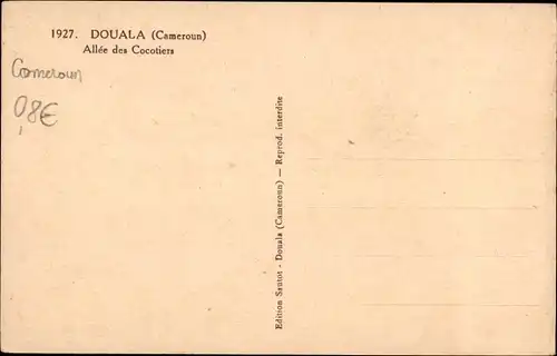 Ak Douala Kamerun, Allée des Cocotiers, Straßenpartie, Kokospalmen, Automobil