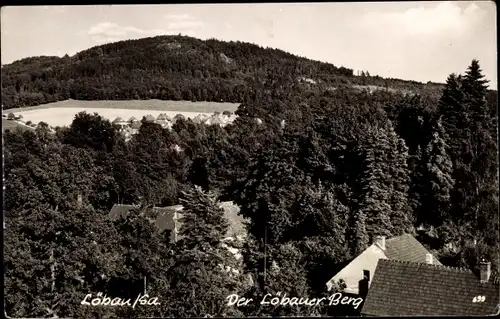 Ak Löbau in Sachsen, Löbauer Berg