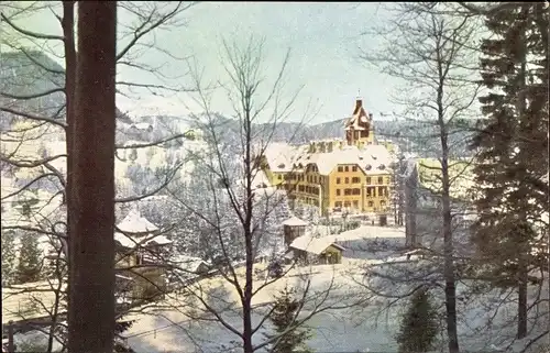 Ak Semmering in Niederösterreich, Hotel Erzherzog Johann im Winter