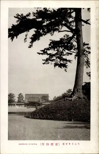 Ak Gosho Kyoto Präfektur Kyoto Japan, Straßenpartie, Baum