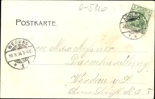 Ak Apolda in Thüringen, Bahnhof, Kirchen, Viadukt