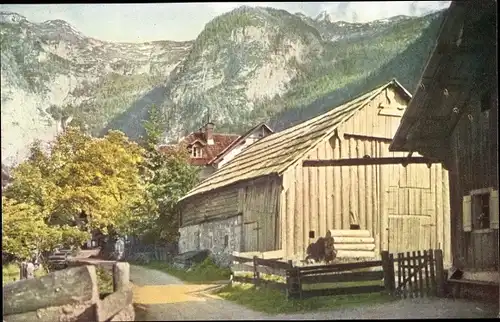 Ak Obertraun Oberösterreich, Dorfpartie