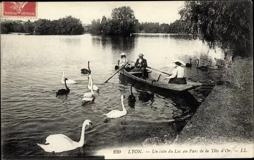 Ak Lyon Rhône, Un coin du Lac au Parc de la Tete d'Or