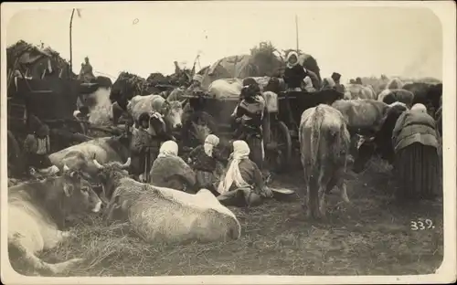 Foto Ak Frauen umgeben von Rindern, Osteuropa