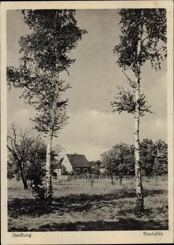 Ak Biederitz in Sachsen Anhalt, Siedlung, Wohnhaus