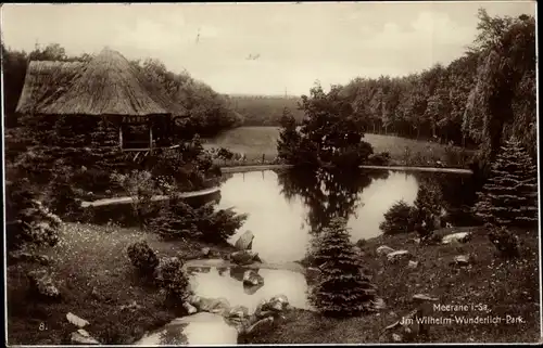 Ak Meerane in Sachsen, Im Wilhelm-Wunderlich-Park, Teich, Pavillon