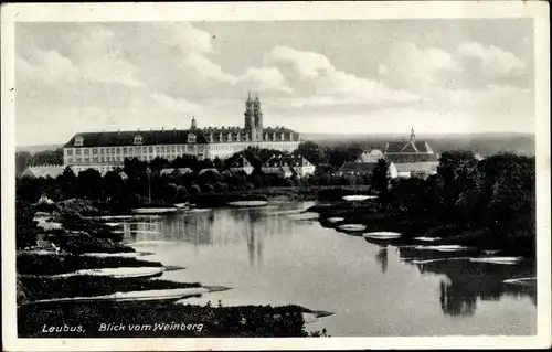 Ak Lubiąż Leubus Schlesien, Blick vom Weinberg