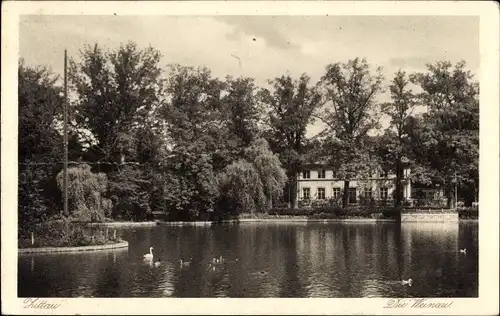 Ak Zittau in Sachsen, Die Weinau