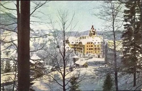 Ak Semmering in Niederösterreich, Hotel Erzherzog Johann im Winter