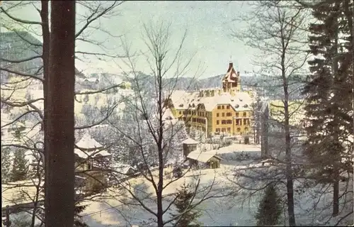 Ak Semmering in Niederösterreich, Hotel Erzherzog Johann im Winter