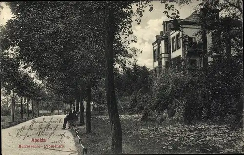 Ak Apolda in Thüringen, Herressener-Promenade