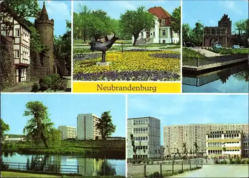 Ak Neubrandenburg in Mecklenburg, Wiekhaus und Mönchenturm, Im Stadtpark, Treptower Tor, Oberschule