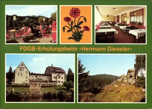 Ak Schierke Wernigerode im Harz, FDGB-Erholungsheim Hermann Gieseler, Terrasse, Brockenblick