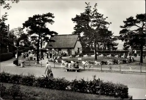 Ak Ostseebad Zinnowitz Usedom, Kindersportgarten